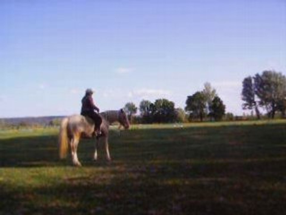 travail monté:Deplacement hanches