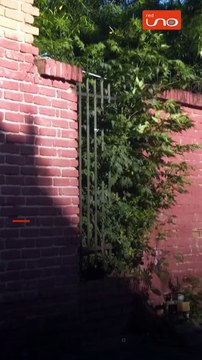 CONDICIONES CRÍTICAS EN UNIDADES EDUCATIVAS DE SANTA CRUZ ANTE EL INICIO DE CLASES