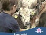 Centri estivi per bambini