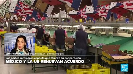 Informe desde Bruselas: México y UE renuevan acuerdo de cooperación