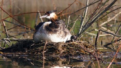 Rookies. My First Days in Life - Trailer