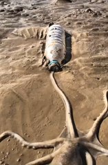 What fuck 😱😱😱