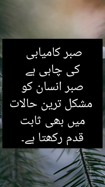 Aqwal e Ali