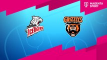 Highlights von Nürnberg Ice Tigers - Grizzlys Wolfsburg
