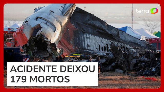 Penas foram encontradas no motor de avião que caiu na Coreia do Sul, dizem investigadores