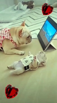 Da ich zum ersten Mal ein Kind zur Welt bringe und noch keine Erfahrung habe, bin ich online gegangen, um zu lernen, wie ich mich um mein Baby kümmern kann.