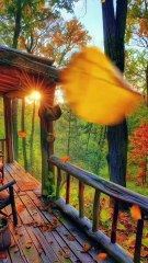 Serene Mornings, Golden Sunsets and Lush Greenery.