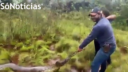 Bombeiros resgatam sucuri de 5 metros em área de risco