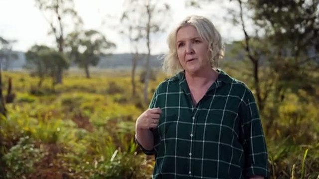 Privately funded experiment in Tasmania aiming to regenerate land