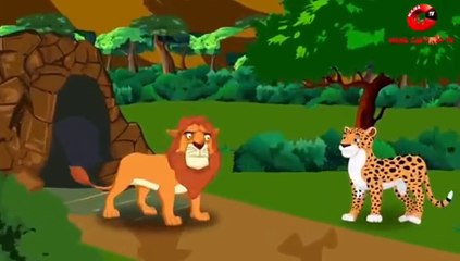 The Lion And The Cheetah Cartoon stories.