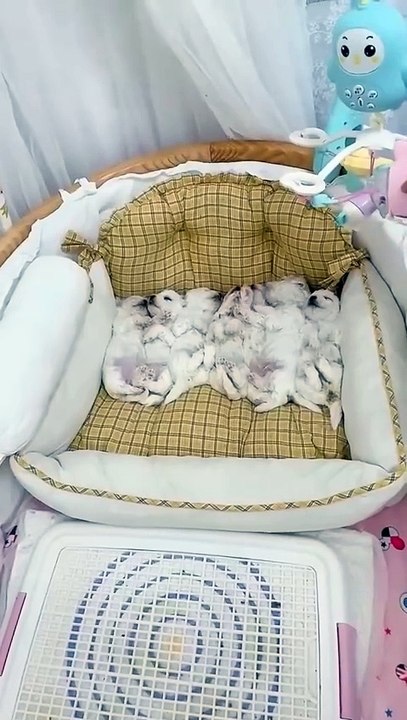 Oh mein Gott... so süß...