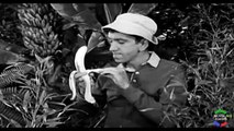 La Isla De Gilligan 1x19
