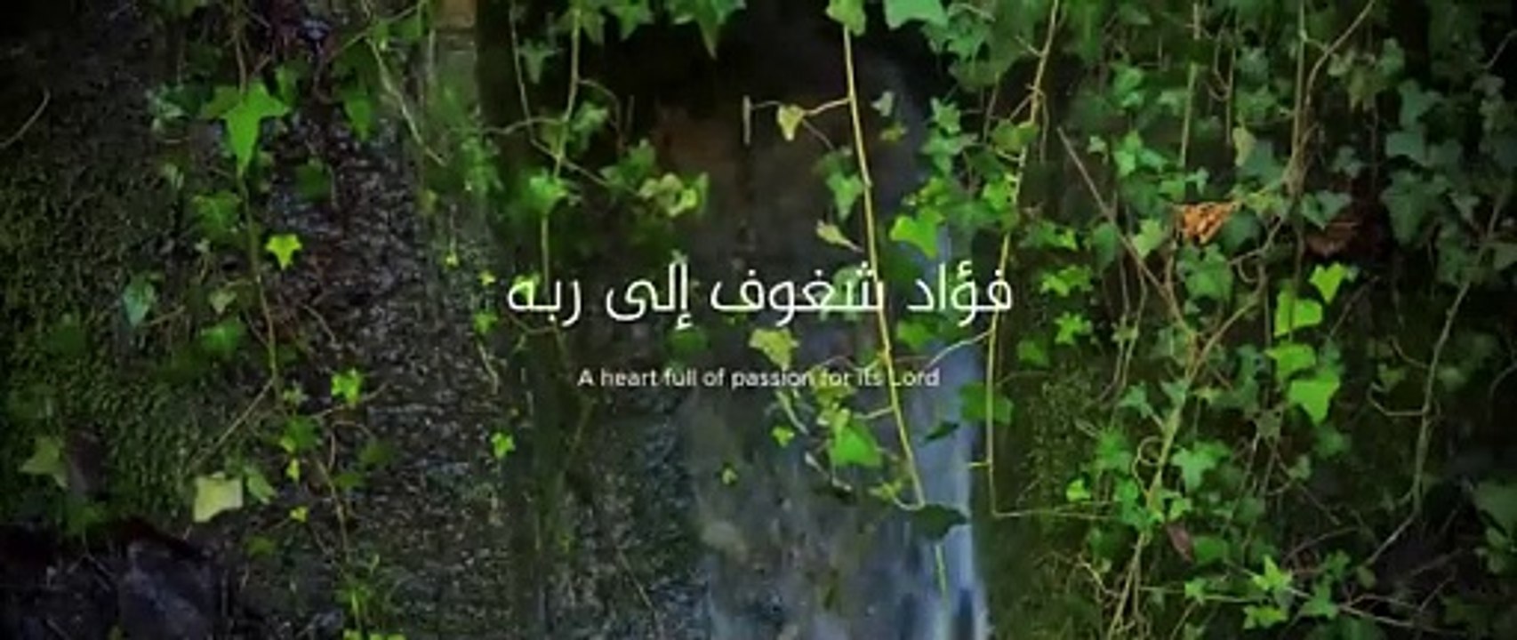 محمد_المقيط___جمال_الوجود___مع_الكلمات___