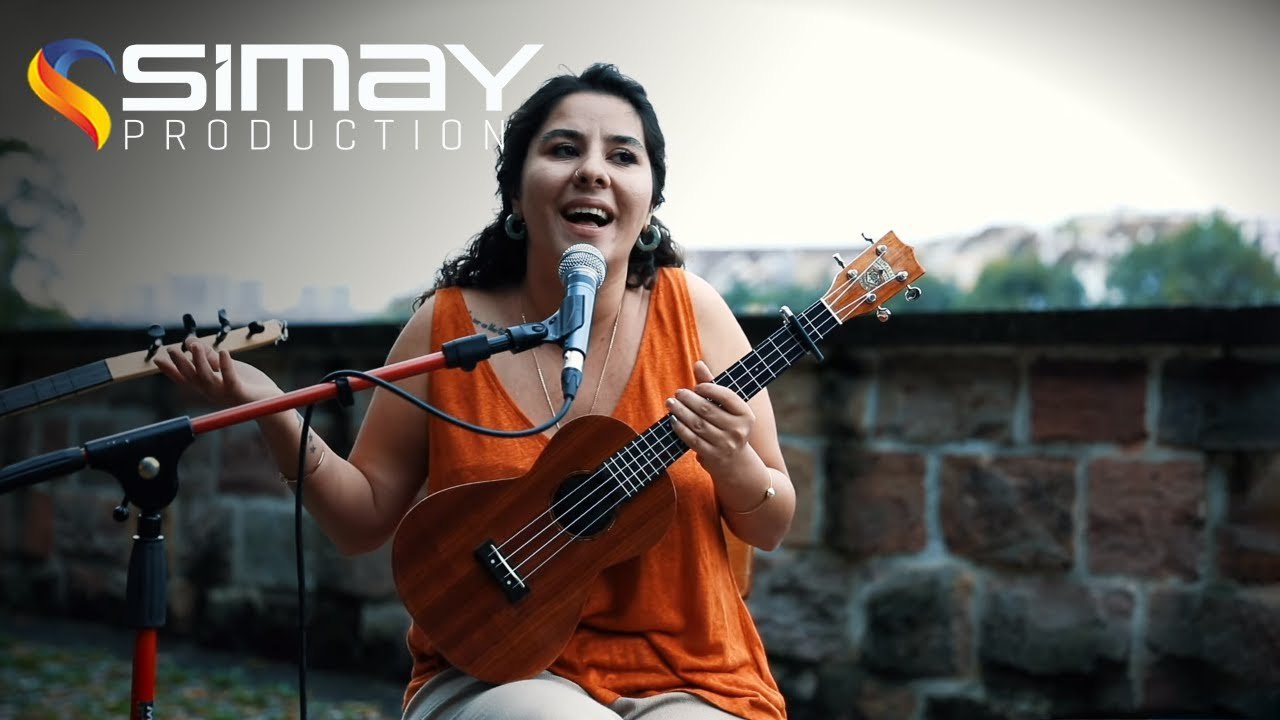 Arya Şahin - Xemili Zozan (Akustik Performans)