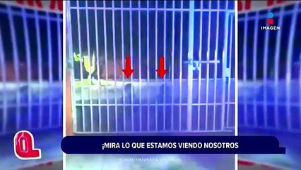 Qué Importa | Programa completo del 17 de enero de 2025