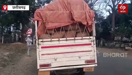 कोरिया में अवैध धान का परिवहन जारी, पटना से 2 लोड पिकअप गाड़ी जब्त