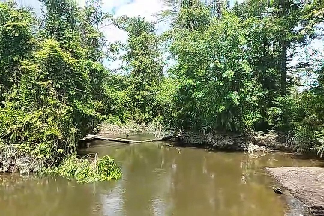 Kali Biru Yahukimo Kini Kali Keruh