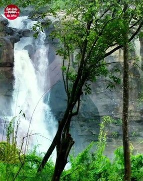 Immerse yourself in the romantic video song #NeeNakhasikhale from the movie #RDXLove 🎶❤️‍🔥 ▶️ youtu.be/OaF65TT9czw #MaaPaataMeeNota #TejusKancherla #PayalRajput #Radhan #BhaskarBhatla #AnudeepDev #telugusongs #teluguvideosongs #trendingnow #tr