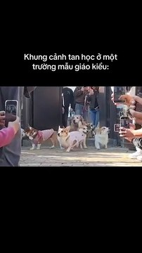 Oh, ich bin zu Hause ... Sen, ich bin hier, Sen ...