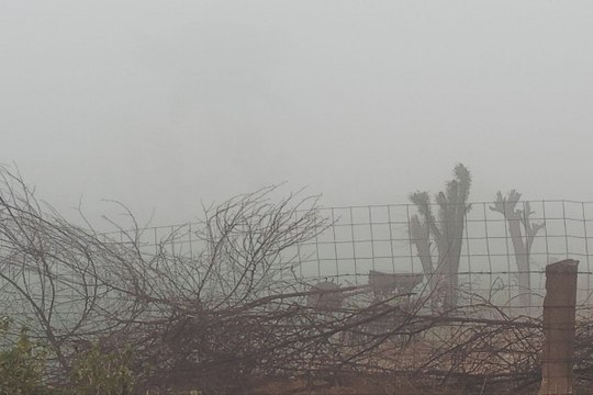 जयपुर में आज सुबह छाया घना कोहरा, एयरपोर्ट पर फ्लाइटस लैंडिंग में हुई परेशानी