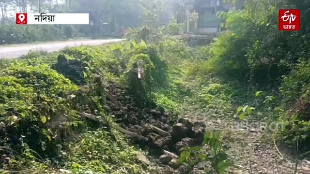 জমি দখলের প্রতিবাদ, বৃদ্ধার হাত ভেঙে দেওয়ার অভিযোগ তৃণমূল নেতার বিরুদ্ধে