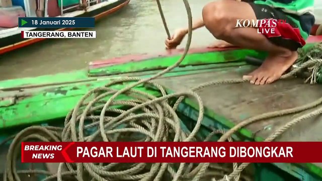 Detik-Detik TNI AL Bersama Nelayan Bongkar Pagar Laut Misterius di Tangerang