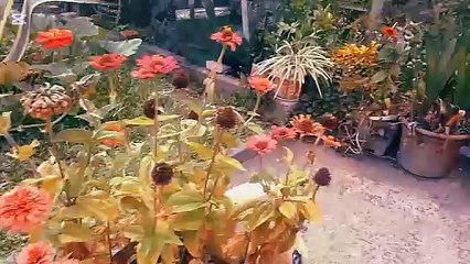 Rápida visita al Jardín-Huerta de los tíos - Tacuarembó (26/12/2024)