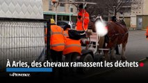 À Arles, des chevaux ramassent les déchets