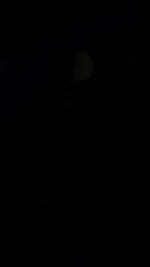 Beautiful sound of quran.