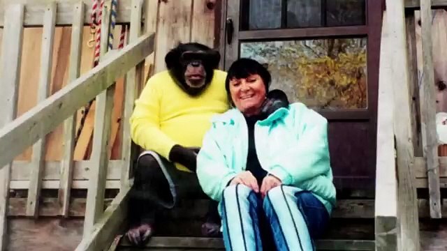 Adam Lanza - The Sandy Hook Elementary School Shooting