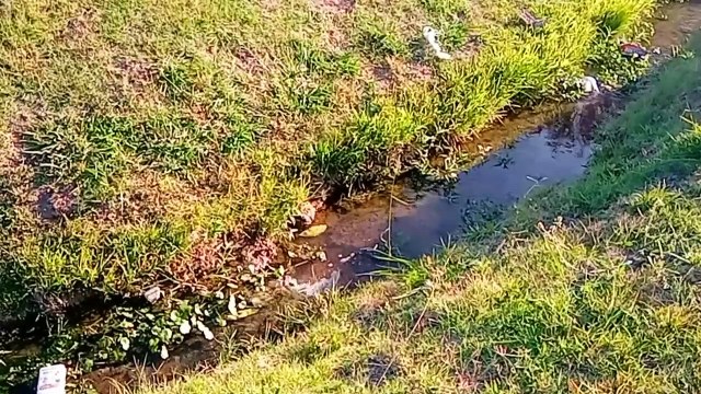 Novia Cumbianchera Baila conmigo canta Giselle Romina Castillo Vargas
