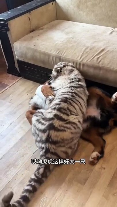 Gib mir ein Paar Stücke ... so duftend ...