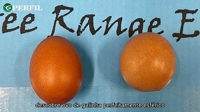 Descobertas surpreendentes: Ovo esférico, caso Madeleine McCann e santuário milenar em destaque!