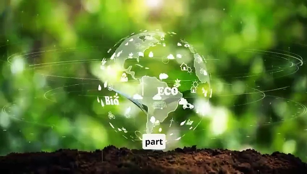 Why Planting Trees Changes Everything
