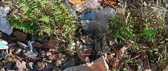 পৃথিৱীৰ দুস্প্ৰাপ্য সাতবিধ বানৰ প্ৰজাতি বিচৰণ স্থলী গিৱন অভায়ৰণ্য লৈ অশনি সংকেট।  গিৱনত সৃষ্টি হোৱা নতুন সংকটক লৈ উদিগ্ন প্ৰকৃতিপ্ৰেমী।।।।