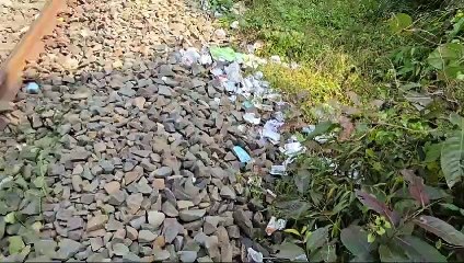 পৃথিৱীৰ দুস্প্ৰাপ্য সাতবিধ বানৰ প্ৰজাতি বিচৰণ স্থলী গিৱন অভায়ৰণ্য লৈ অশনি সংকেট।  গিৱনত সৃষ্টি হোৱা নতুন সংকটক লৈ উদিগ্ন প্ৰকৃতিপ্ৰেমী।।।।