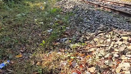 পৃথিৱীৰ দুস্প্ৰাপ্য সাতবিধ বানৰ প্ৰজাতি বিচৰণ স্থলী গিৱন অভায়ৰণ্য লৈ অশনি সংকেট।  গিৱনত সৃষ্টি হোৱা নতুন সংকটক লৈ উদিগ্ন প্ৰকৃতিপ্ৰেমী।।।।