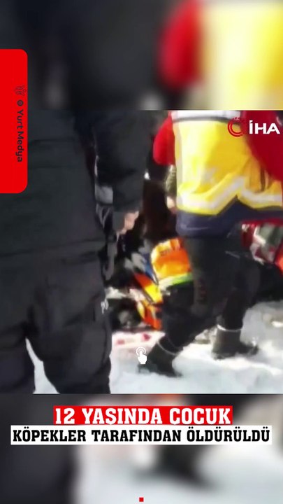 Hakkari'de 12 yaşındaki kız çocuğu köpek saldırısı sonucu hayatını kaybetti. #hakkari #sondakika