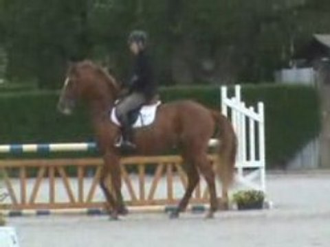 Quir Royal Liniere 200804 phalempin