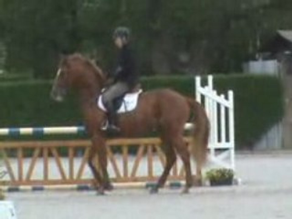 Quir Royal Liniere 200804 phalempin