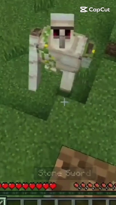 Iron golem goes Hit