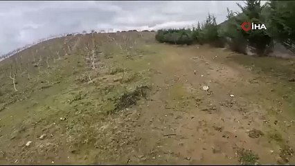 Manisa’da domuzun avcıya saldırdığı anlar kameraya yansıdı