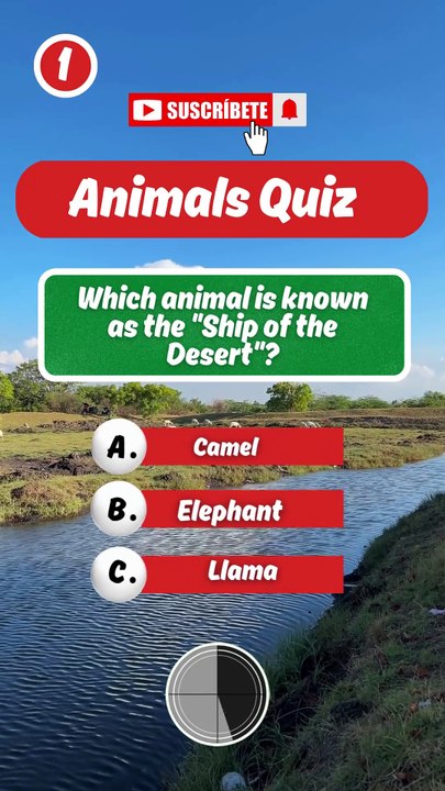 "Guess the Correct Answer! 🤔💡 Test Your Knowledge! #Quiz #Shorts"