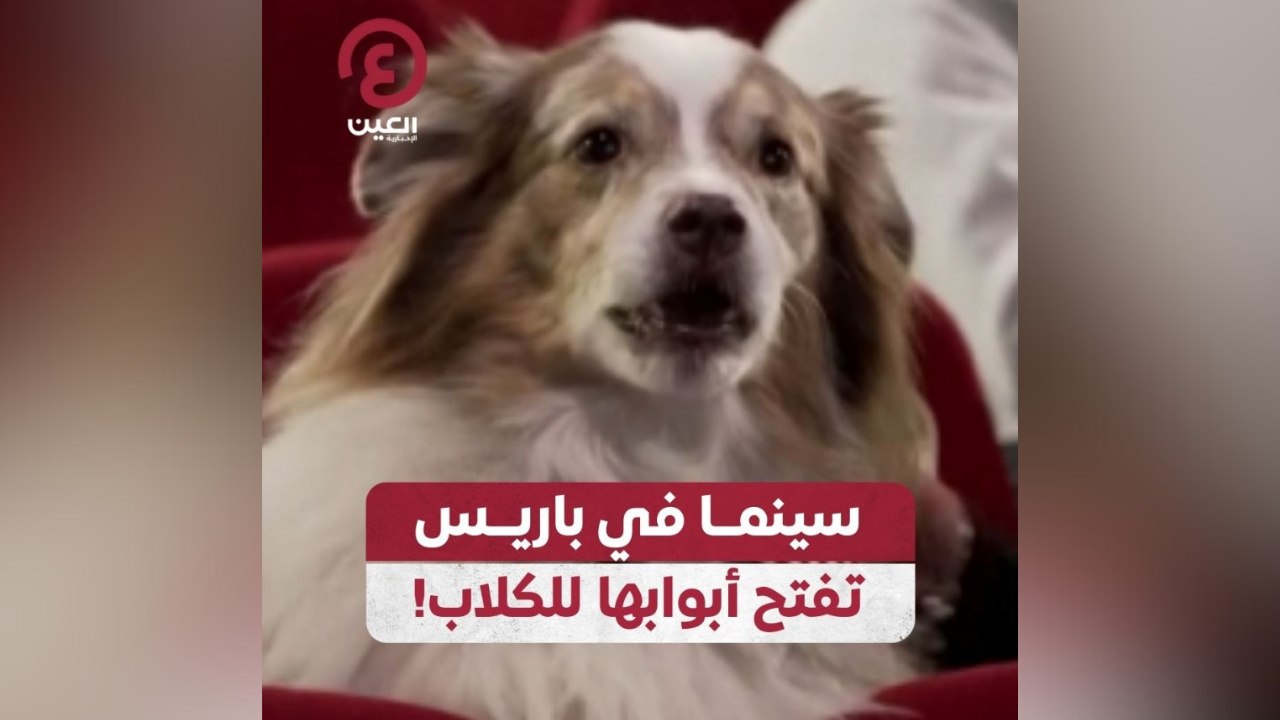 سينما في باريس تفتح أبوابها للكلاب!