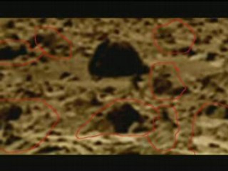 Mars Humans & Primates have sybiotic  life style - part 1