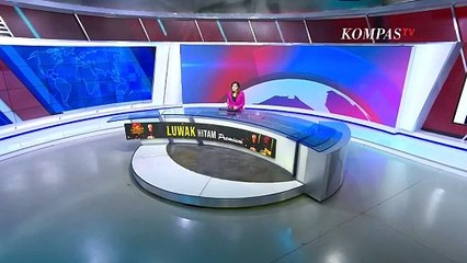 PP Muhammadiyah Laporkan 7 Nama yang Diduga Terlibat Pagar Laut Ilegal di Tangerang, Siapa Saja?