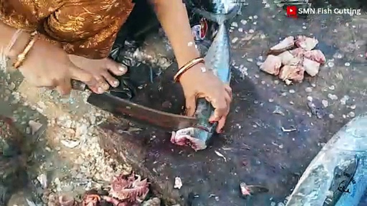 Surmai Fish Cutting Indo-Pacific King Mackerel Cutting and Cleaning Techniques