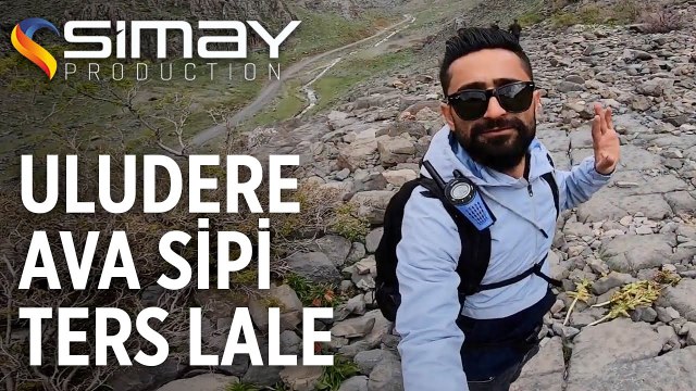 Uludere (Qılaban) Ava Sipi - Ters Lale (Guldexwin) [Doğa Gezileri]