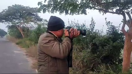 ସାତକୋଶିଆ ଗଣ୍ଡରେ ଚାଲିଛି ପକ୍ଷୀ ଗଣନା, ଶୁଭୁଚି ବିଦେଶୀ ପକ୍ଷୀ ଙ୍କ କଲରବ।