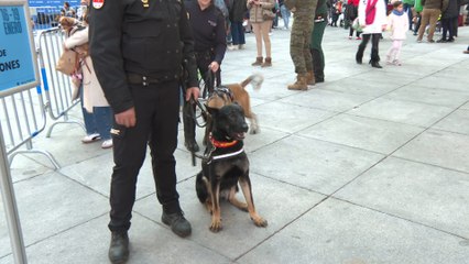 Madrid acoge el tradicional pregón de San Antón